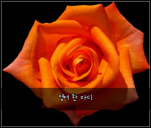 영어 한 마디