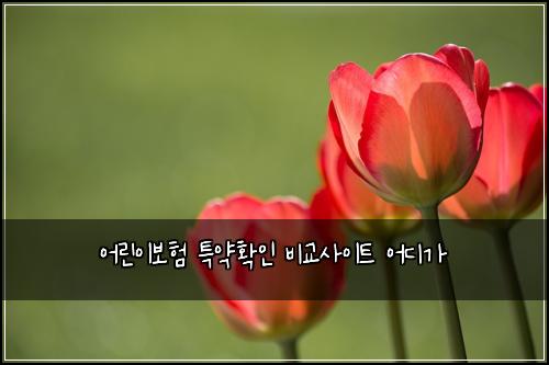 어린이보험 특약확인  비교사이트 어디가