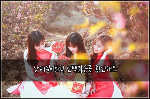 상해실비보험 선택많은곳  확인해요