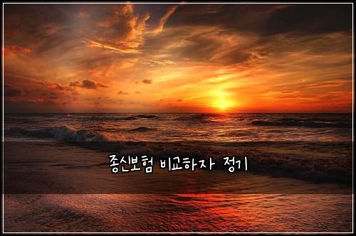 종신보험 비교하자  정기