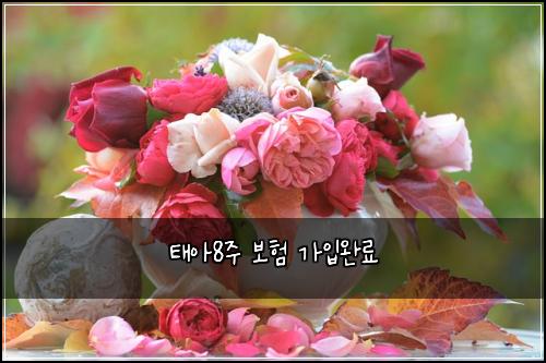 태아8주 보험 가입완료 