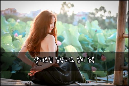 상해보험 절약해요  실비 중복