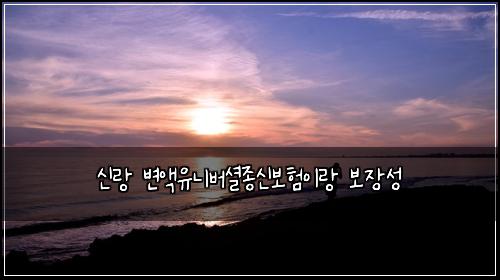 신랑 변액유니버셜종신보험이랑 보장성