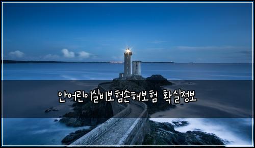 ์์ด๋ฆฐ์ด์ค๋น๋ณดํ์ํด๋ณดํ ํ์ค์ ๋ณด