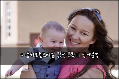 자동차보험모바일 값싼곳찾기 상세분석