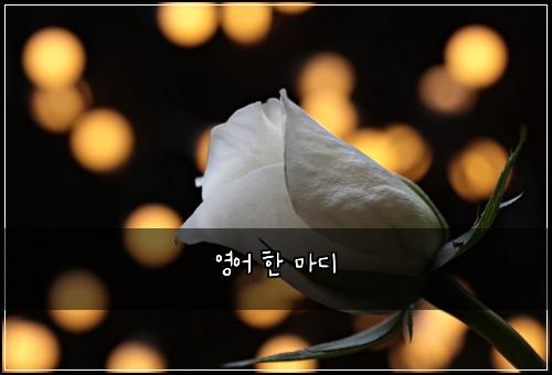 영어 한 마디