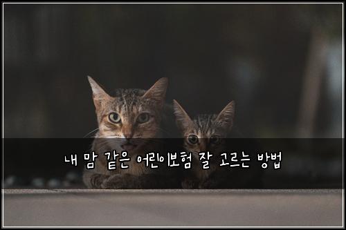 내 맘 같은 어린이보험 잘 고르는 방법