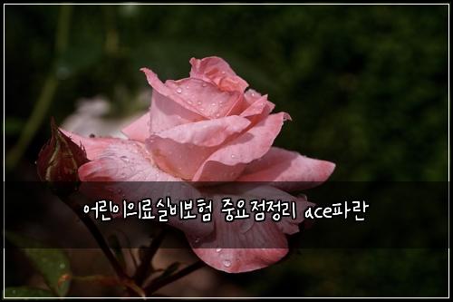 어린이의료실비보험 중요점정리  ace파란