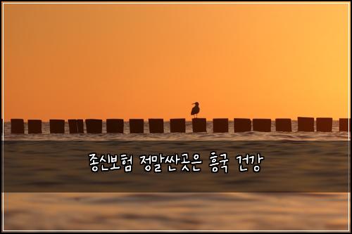 종신보험 정말싼곳은  흥국 건강