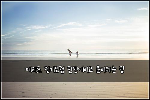 ๋ฉ๋ฆฌ์ธ ์ ๊ธฐ๋ณดํ ํ๋ฒ์๋น๊ต ์ค๋นํ๋ ํ