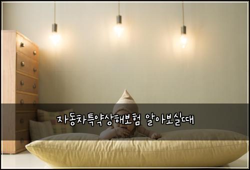 자동차특약상해보험 알아보실때 