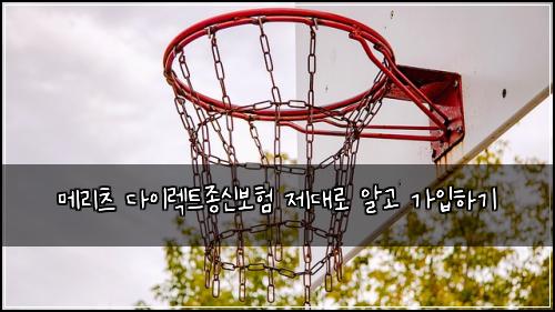 메리츠 다이렉트종신보험 제대로 알고 가입하기