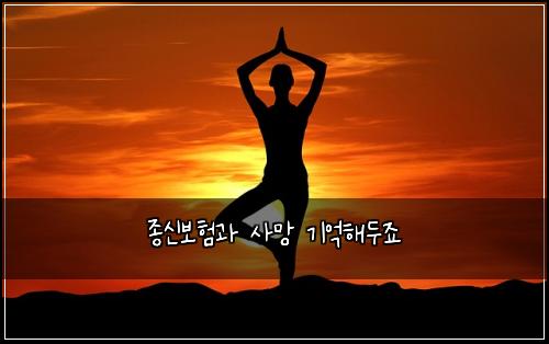 종신보험과 사망 기억해두죠