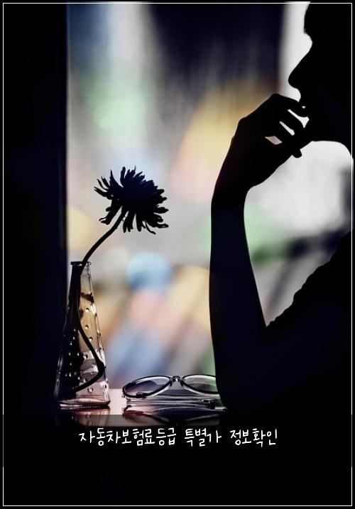 자동차보험료등급 특별가 정보확인