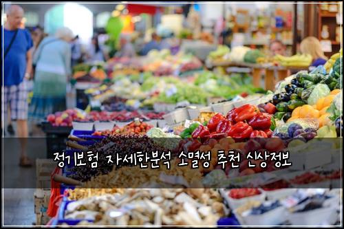 정기보험 자세한분석  소멸성 추천 신상정보
