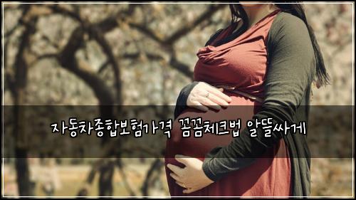 ์๋์ฐจ์ข
ํฉ๋ณดํ๊ฐ๊ฒฉ ๊ผผ๊ผผ์ฒดํฌ๋ฒ ์๋ฐ์ธ๊ฒ