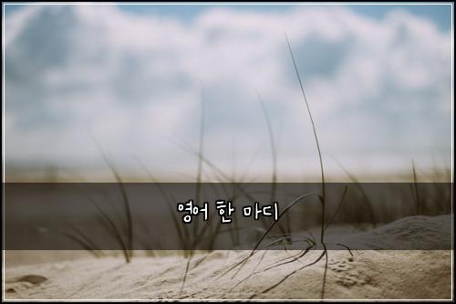 영어 한 마디