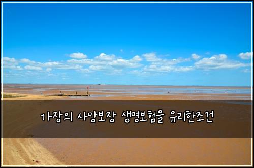 가장의 사망보장 생명보험을 유리한조건