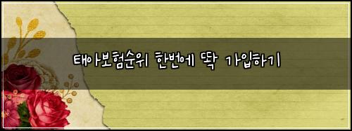 태아보험순위 한번에 똭 가입하기