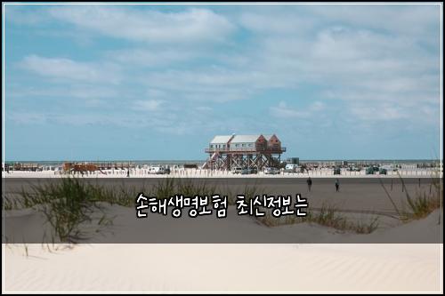 손해생명보험 최신정보는 