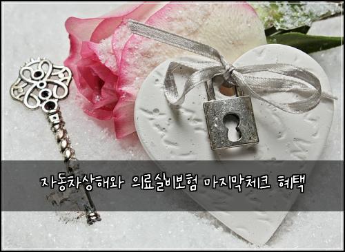 ์๋์ฐจ์ํด์ ์๋ฃ์ค๋น๋ณดํ ๋ง์ง๋ง์ฒดํฌ ํํ