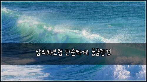 남의차보험 단순하게  궁금한것