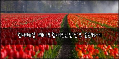 현대해상 태아보험재진단암담보 든든하게