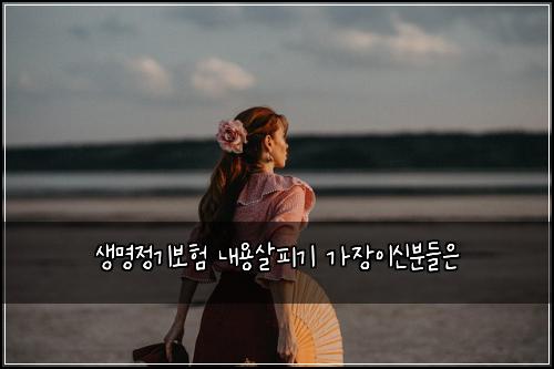생명정기보험 내용살피기  가장이신분들은