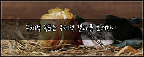 구체적 목표는 구체적 결과를 초래한다