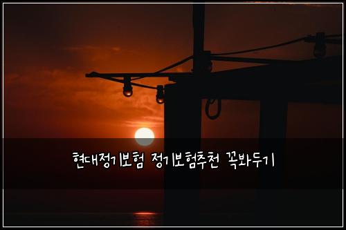 현대정기보험 정기보험추천 꼭봐두기