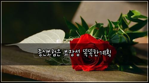 종신보험은 보장성 똑똑한계획