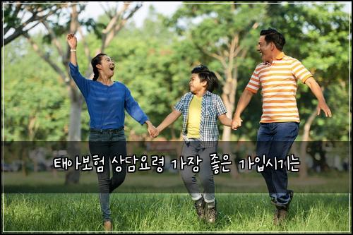 태아보험 상담요령  가장 좋은 가입시기는