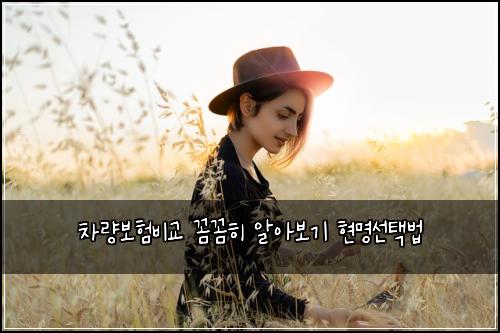 ์ฐจ๋๋ณดํ๋น๊ต ๊ผผ๊ผผํ ์์๋ณด๊ธฐ ํ๋ช
์ ํ๋ฒ