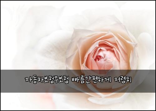 자동차보험무보험 빠름간편하게 저렴히