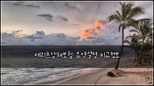 메리츠상해보험 요약설명  비교정보
