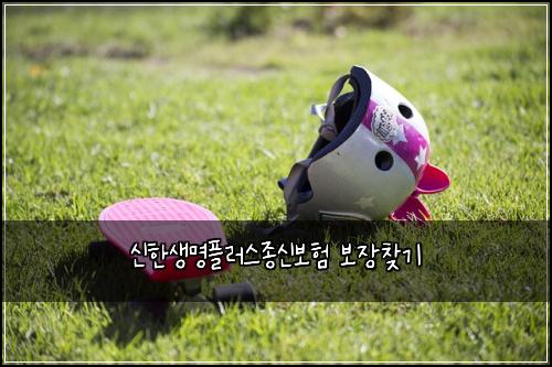 신한생명플러스종신보험 보장찾기 