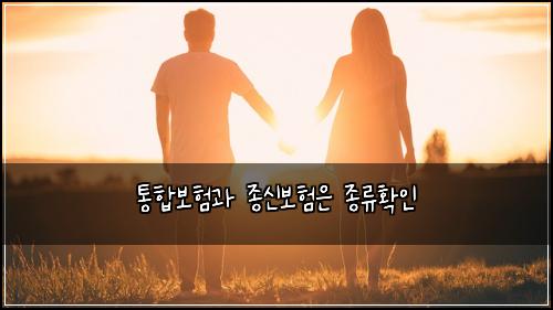 ํตํฉ๋ณดํ๊ณผ ์ข
์ ๋ณดํ์ ์ข
๋ฅํ์ธ