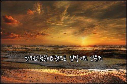 상해보험실비보험으로 생각지도 신중히