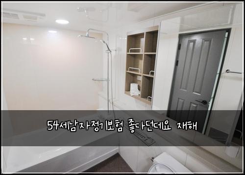 54세남자정기보험 좋다던데요  재해