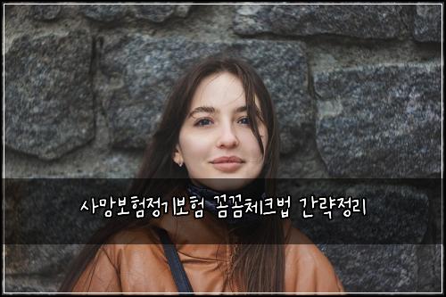 사망보험정기보험 꼼꼼체크법 간략정리