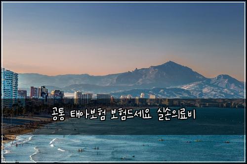 공통 태아보험 보험드세요  실손의료비