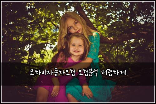 모하비자동차보험 보험분석  저렴하게