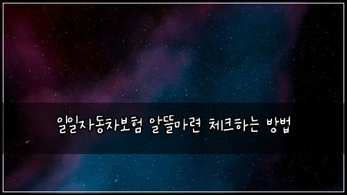일일자동차보험 알뜰마련  체크하는 방법