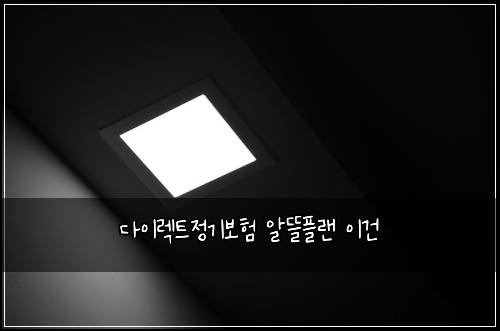 다이렉트정기보험 알뜰플랜  이건