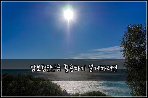 암보험진단금 활용하기 설계하려면