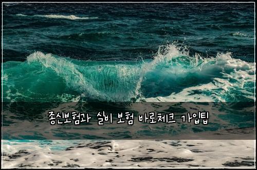 ์ข
์ ๋ณดํ๊ณผ ์ค๋น ๋ณดํ ๋ฐ๋ก์ฒดํฌ ๊ฐ์
ํ