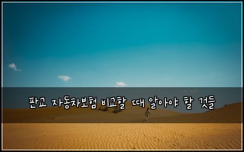 판교 자동차보험 비교할 때 알아야 할 것들