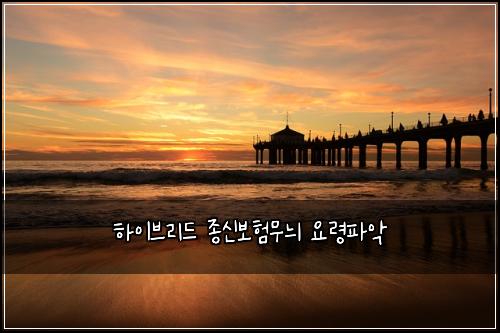 하이브리드 종신보험무늬 요령파악