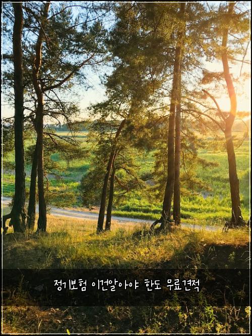 정기보험 이건알아야  한도 무료견적