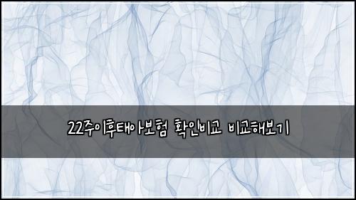 22주이후태아보험 확인비교  비교해보기